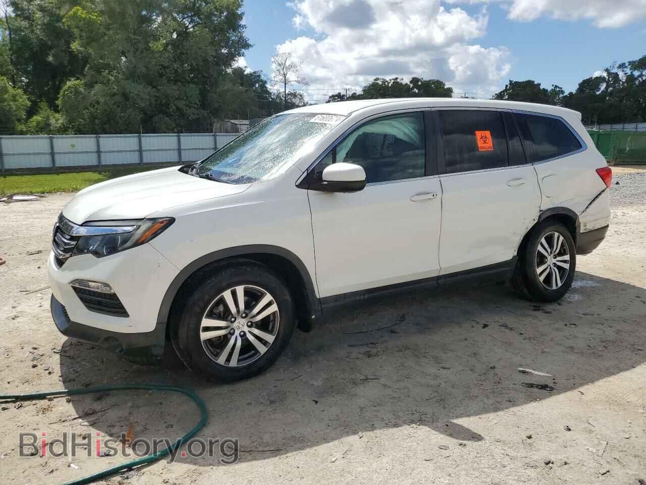 Photo 5FNYF5H34HB032251 - HONDA PILOT 2017