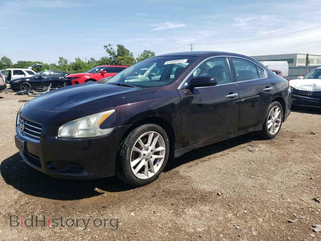 Photo 1N4AA5AP0BC857288 - NISSAN MAXIMA 2011