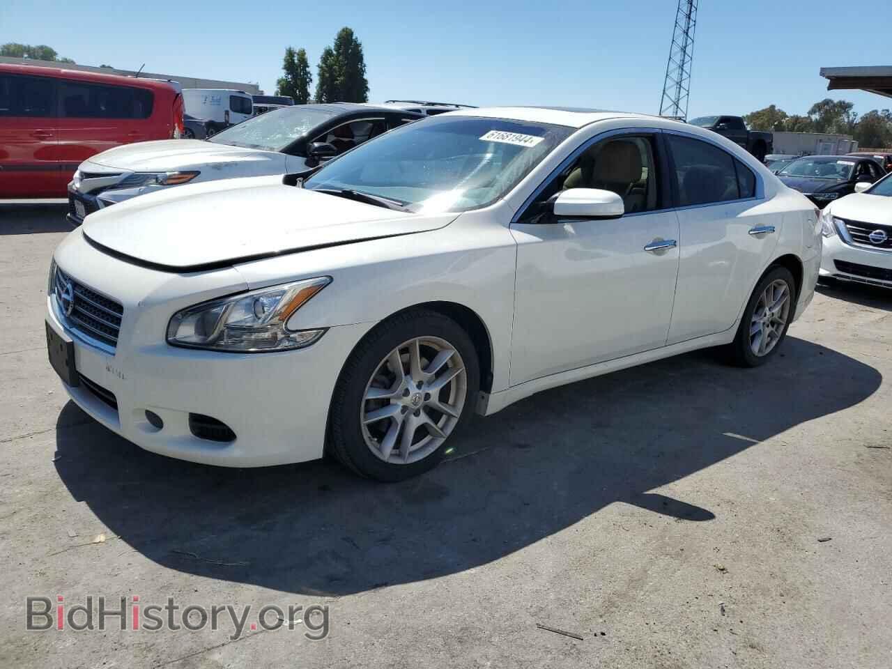 Photo 1N4AA51E69C852816 - NISSAN MAXIMA 2009