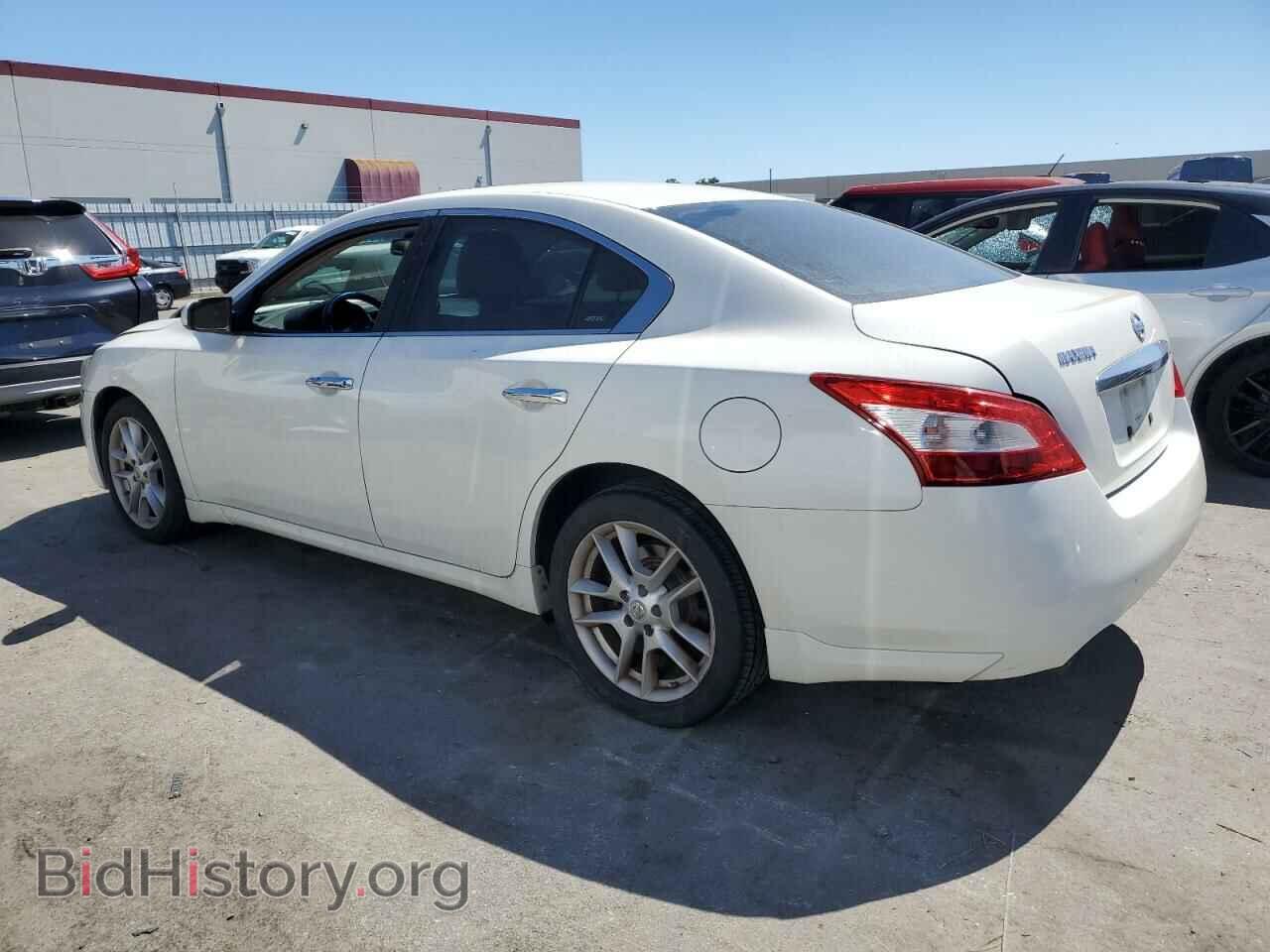 2009 NISSAN MAXIMA - VIN: 1N4AA51E69C852816 - Фото 2