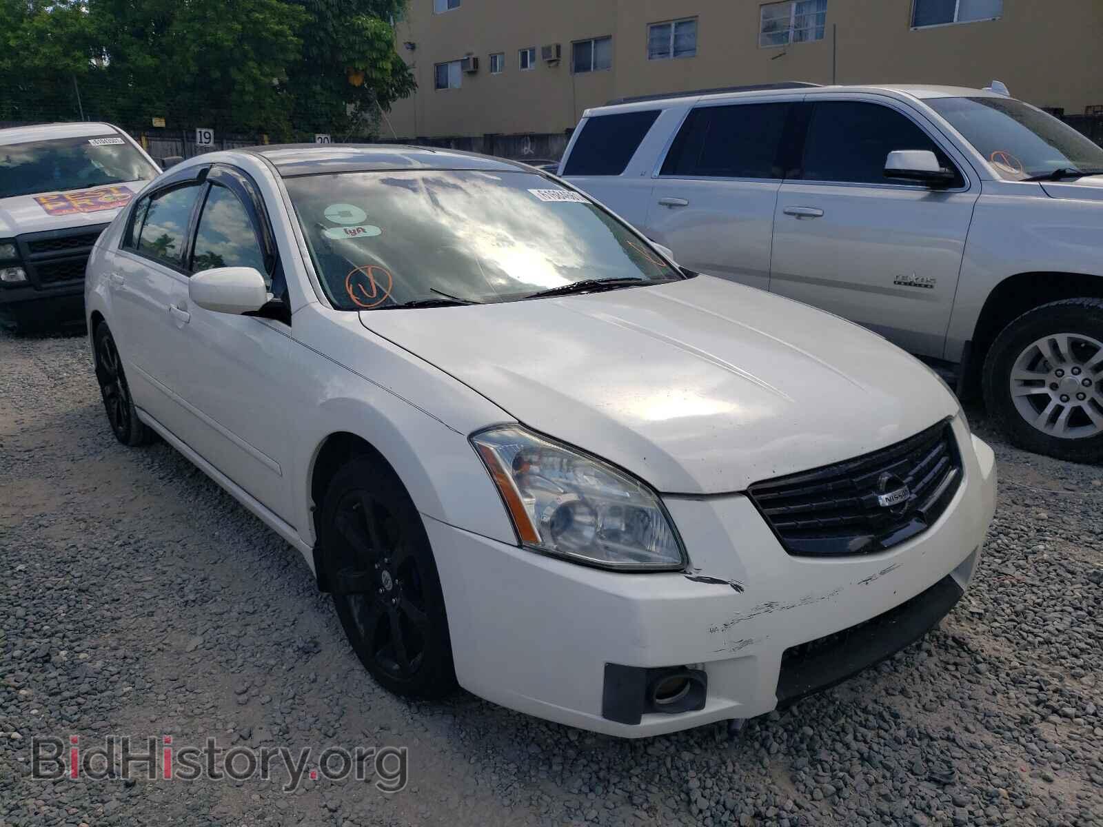 Photo 1N4BA41E68C825290 - NISSAN MAXIMA 2008