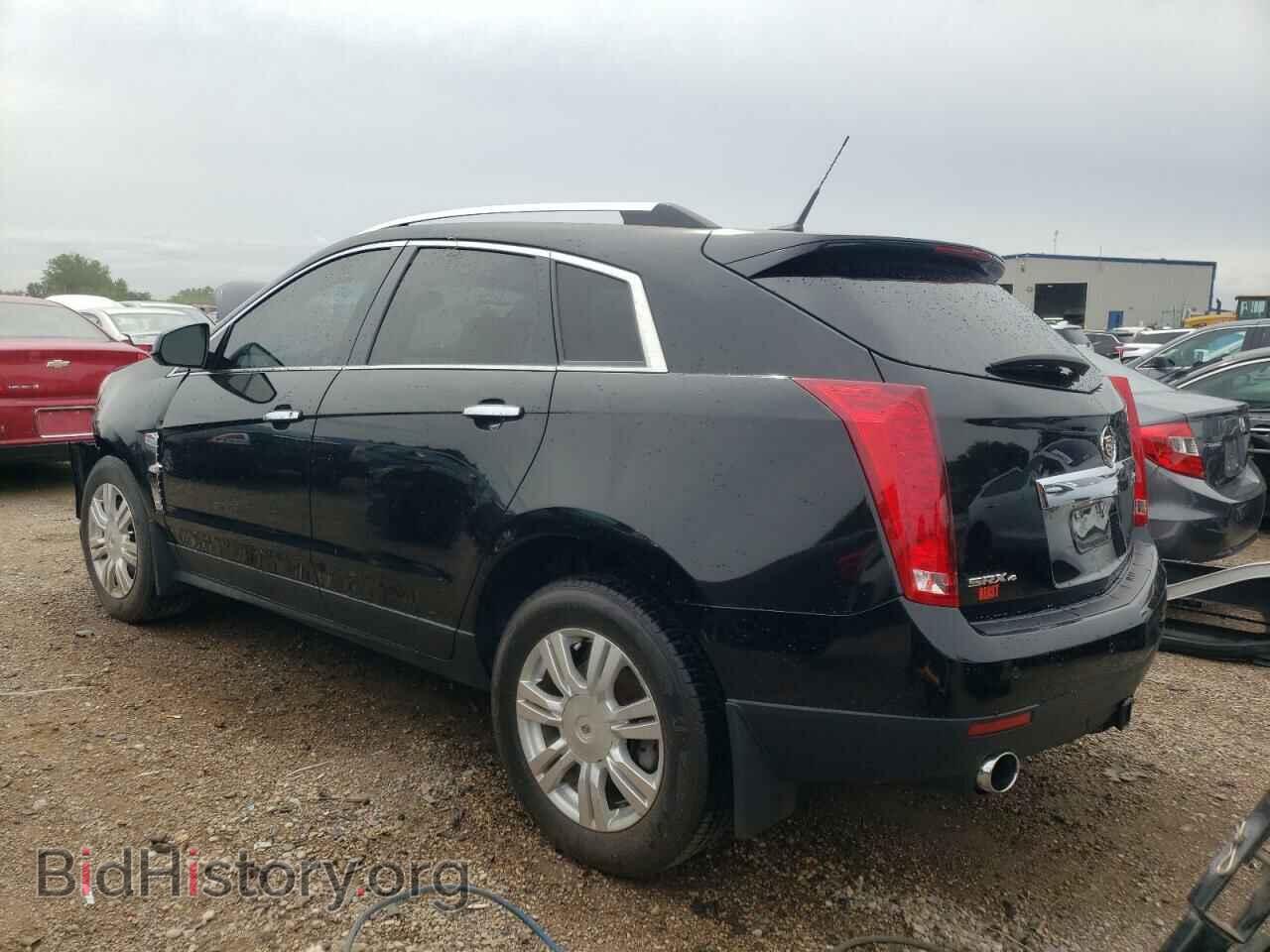 2010 CADILLAC SRX - VIN: 3GYFNDEY8AS512384 - Фото 2