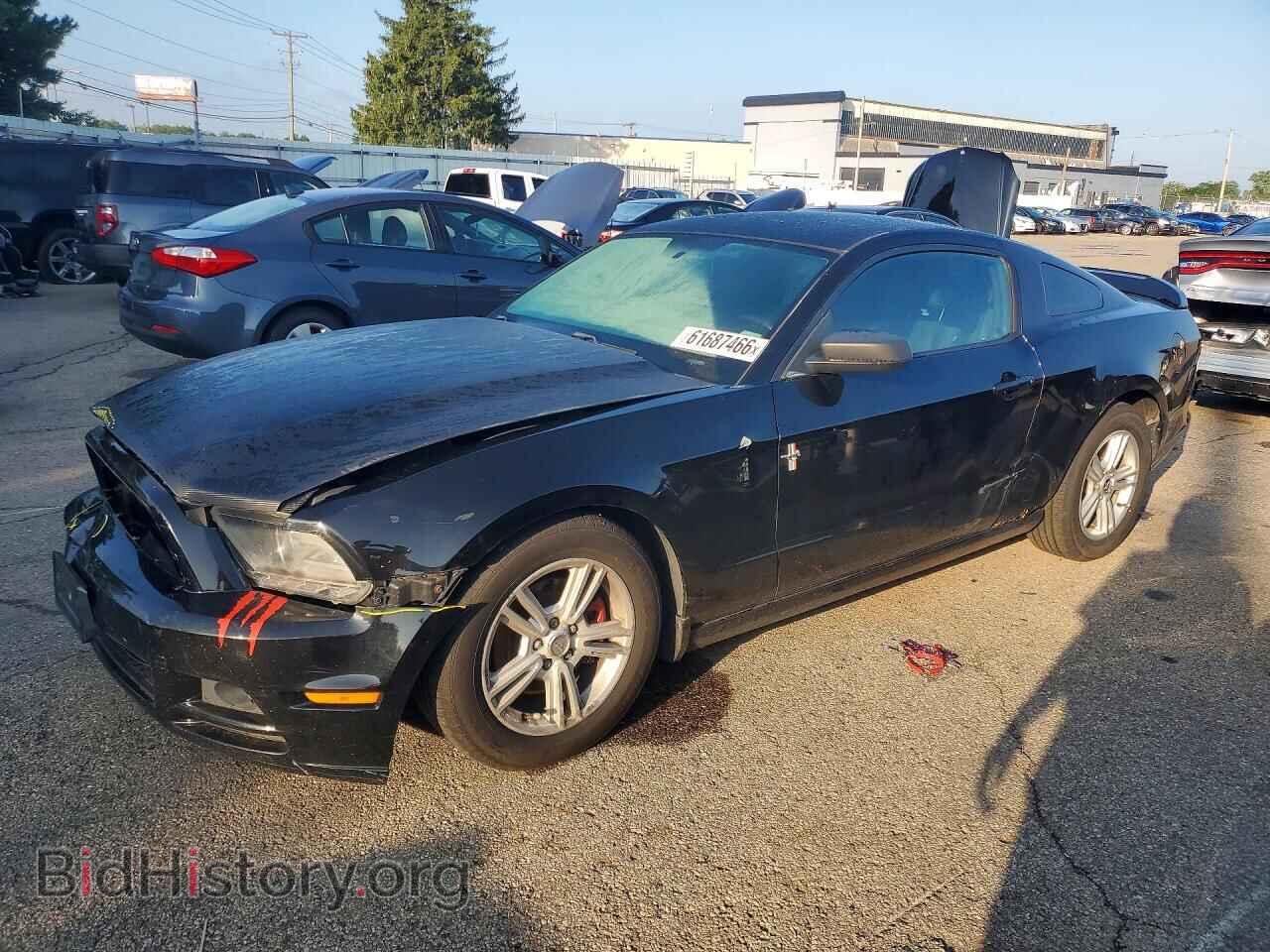 Фотография 1ZVBP8AM2D5263410 - FORD MUSTANG 2013