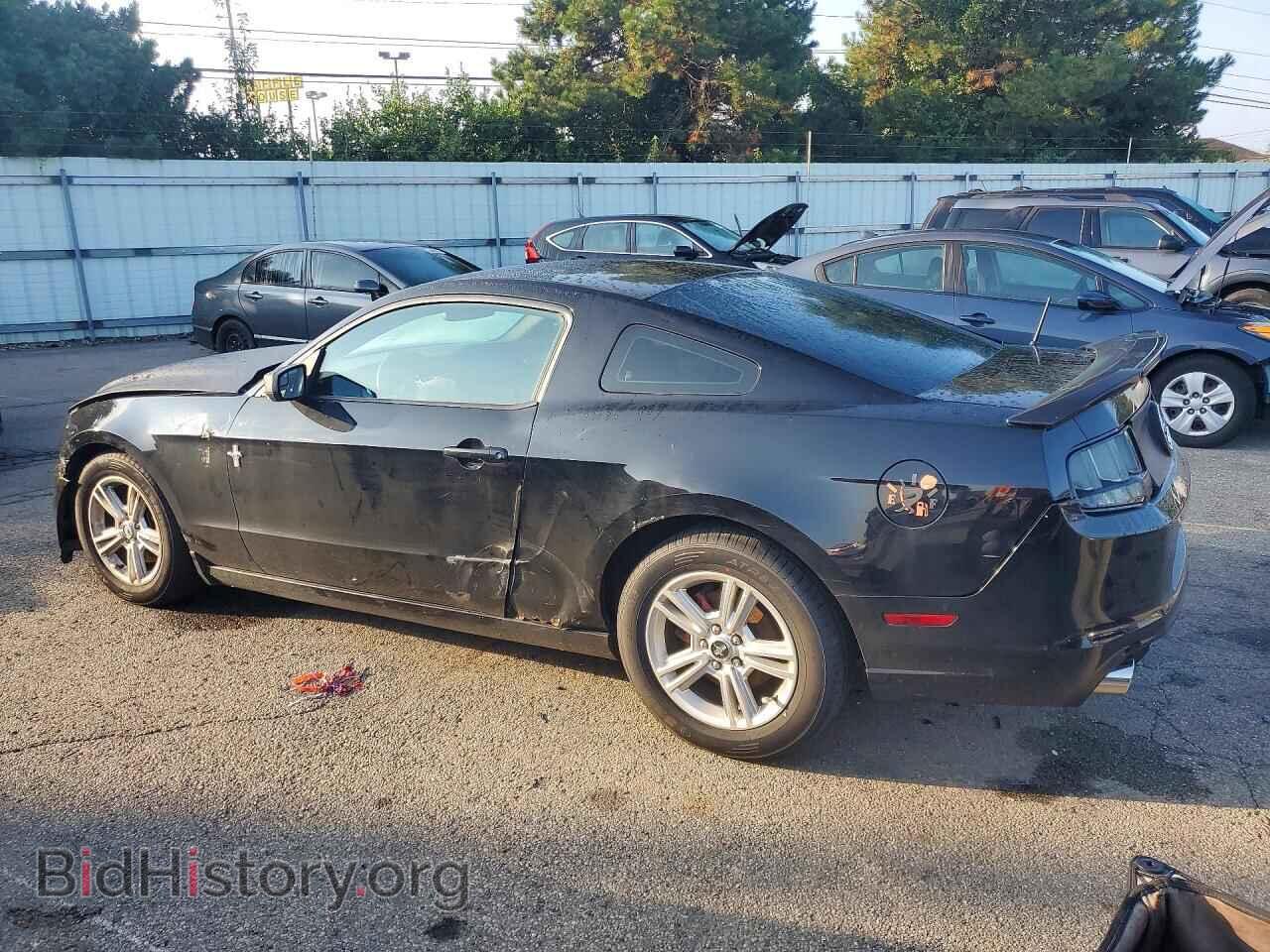 2013 FORD MUSTANG - VIN: 1ZVBP8AM2D5263410 - Фото 2