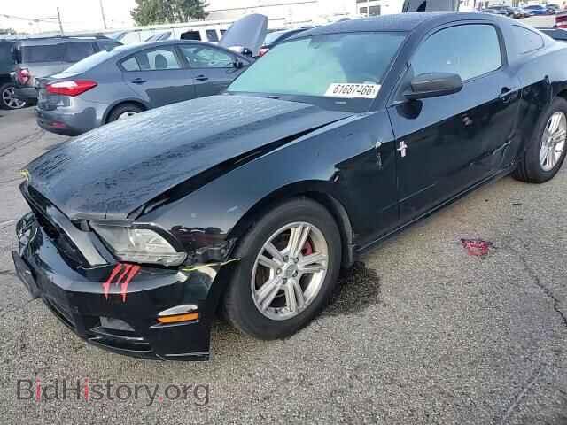 2013 FORD MUSTANG - VIN: 1ZVBP8AM2D5263410 - Фото 13