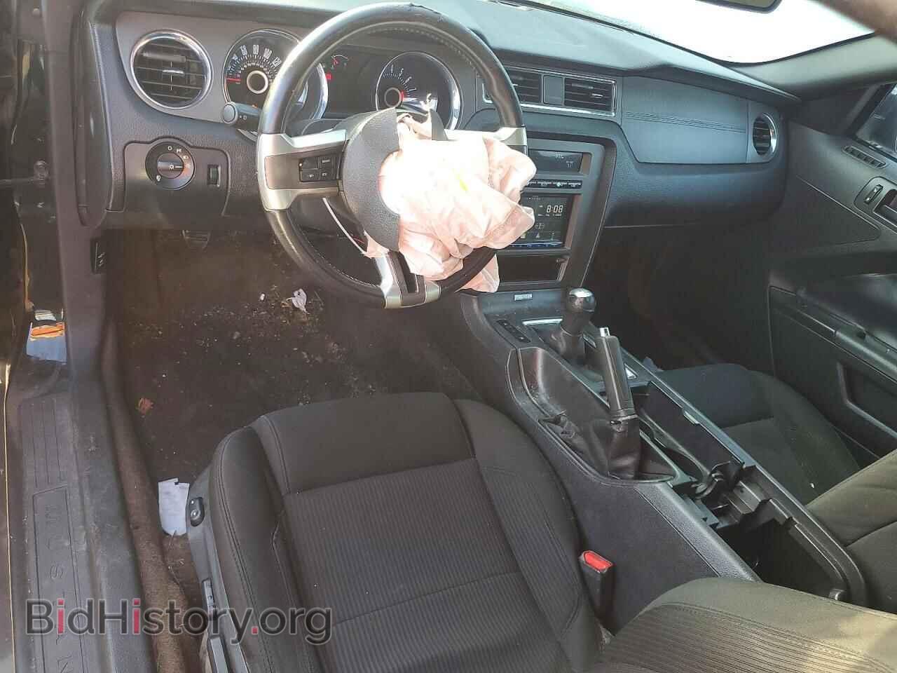 2013 FORD MUSTANG - VIN: 1ZVBP8AM2D5263410 - Фото 8