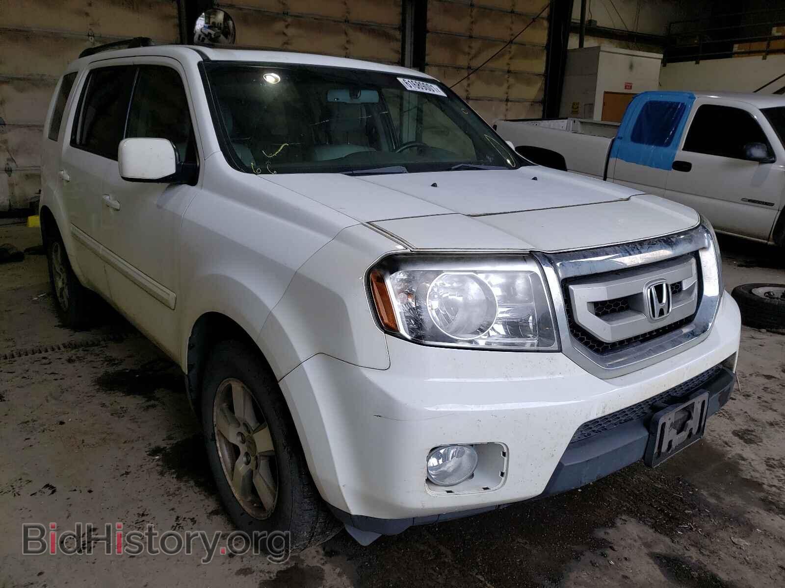 Photo 5FNYF4H61AB025073 - HONDA PILOT 2010