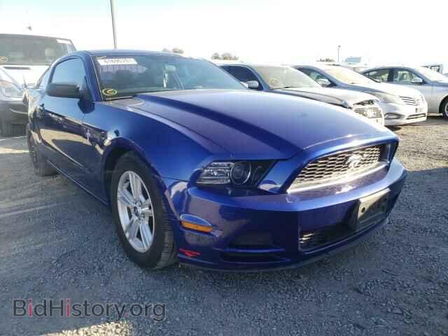 Фотография 1ZVBP8AM4E5215425 - FORD MUSTANG 2014
