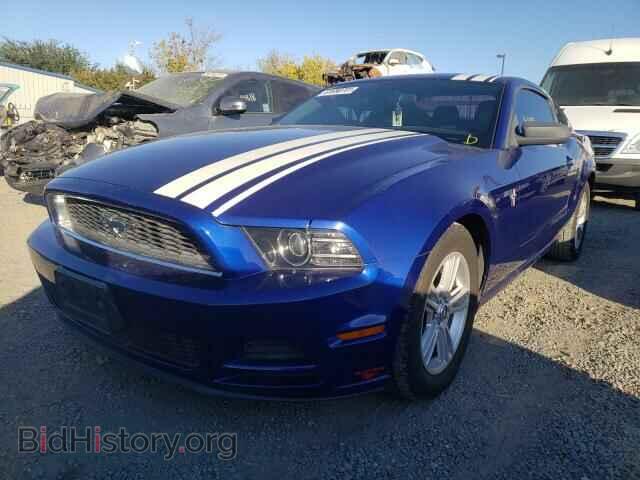2014 FORD MUSTANG - VIN: 1ZVBP8AM4E5215425 - Фото 2