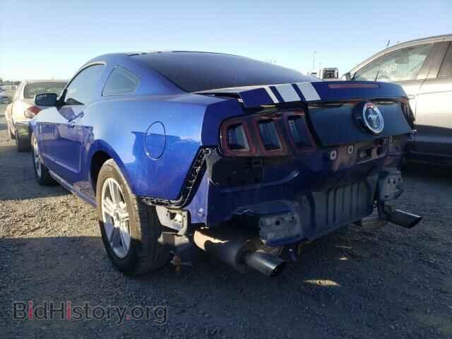 2014 FORD MUSTANG - VIN: 1ZVBP8AM4E5215425 - Фото 3