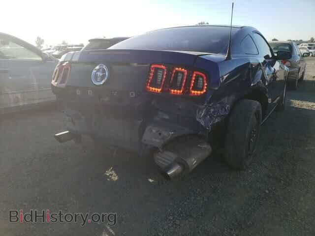 2014 FORD MUSTANG - VIN: 1ZVBP8AM4E5215425 - Фото 9