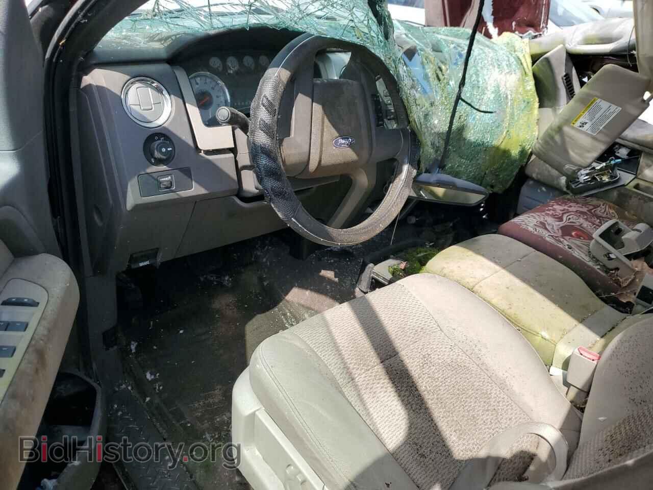 2010 FORD F-150 - VIN: 1FTEX1E83AFA24491 - Фото 8