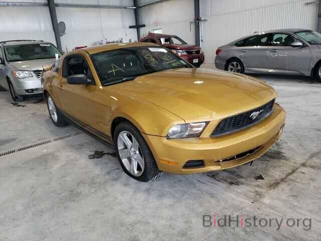 Photo 1ZVBP8AN7A5179894 - FORD MUSTANG 2010