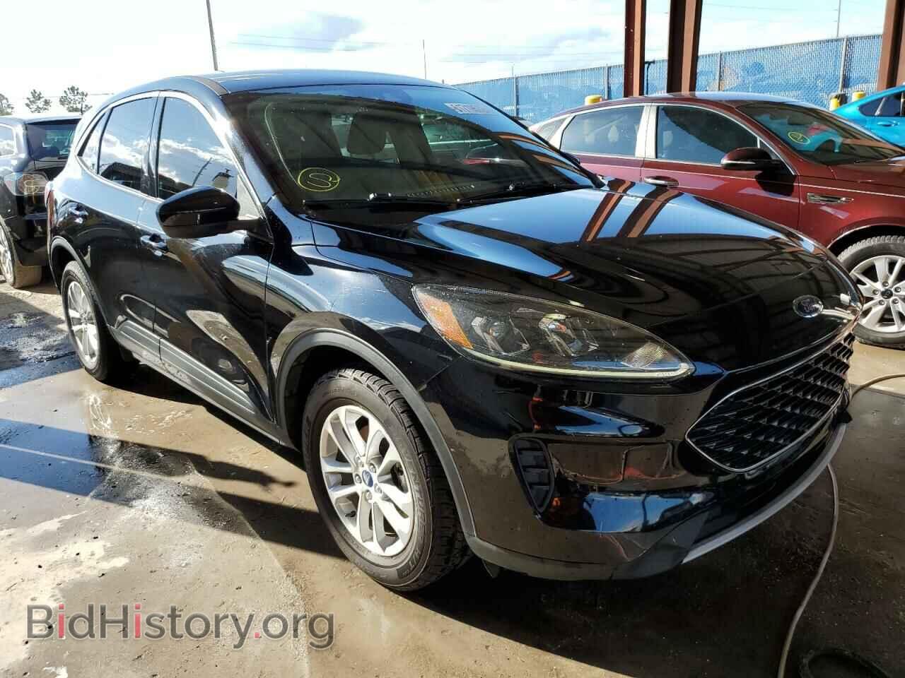 Фотография 1FMCU0G69LUA12698 - FORD ESCAPE 2020