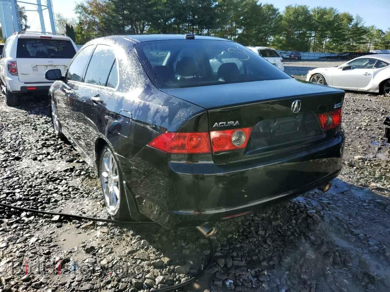 2006 ACURA TSX - VIN: JH4CL96856C014083 - Фото 3
