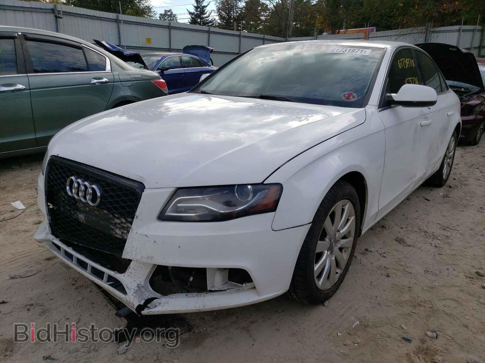2010 AUDI A4 - VIN: WAUFFAFL3AN048982 - Фото 2