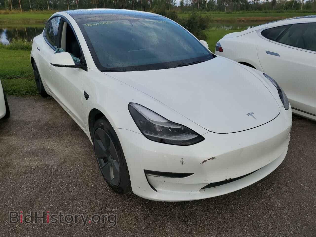 Photo 5YJ3E1EA6MF911608 - TESLA MODEL 3 2021