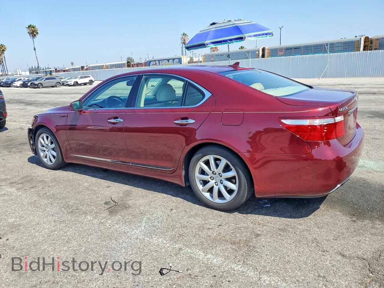 2009 LEXUS LS460 - VIN: JTHBL46F195085996 - Фото 2