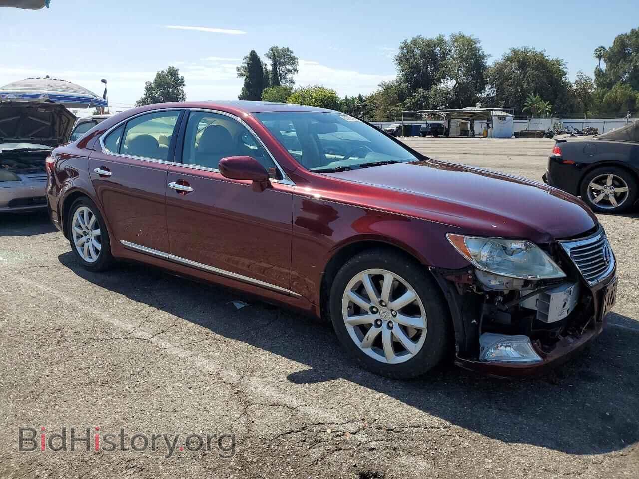 2009 LEXUS LS460 - VIN: JTHBL46F195085996 - Фото 4