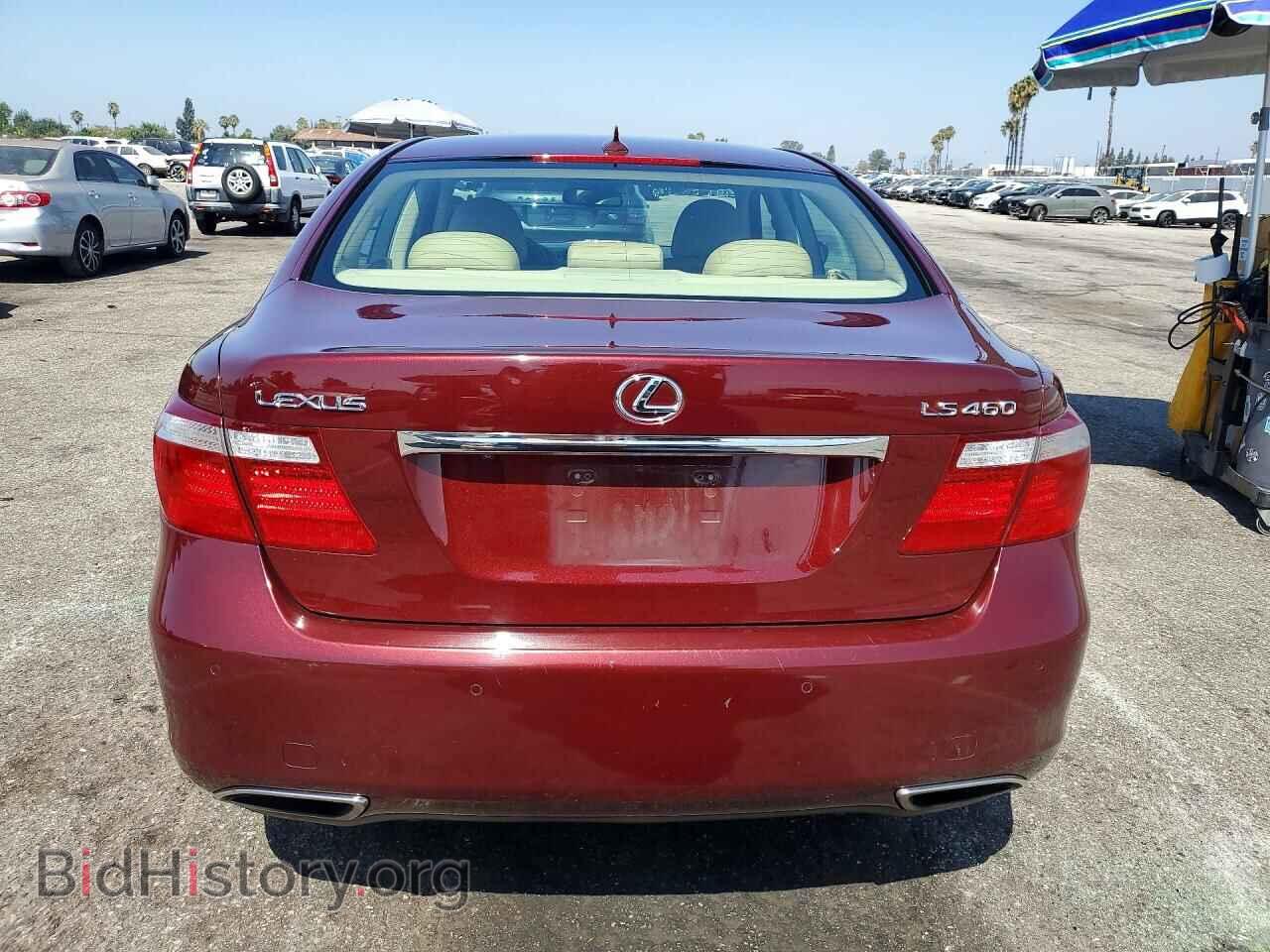 2009 LEXUS LS460 - VIN: JTHBL46F195085996 - Фото 6