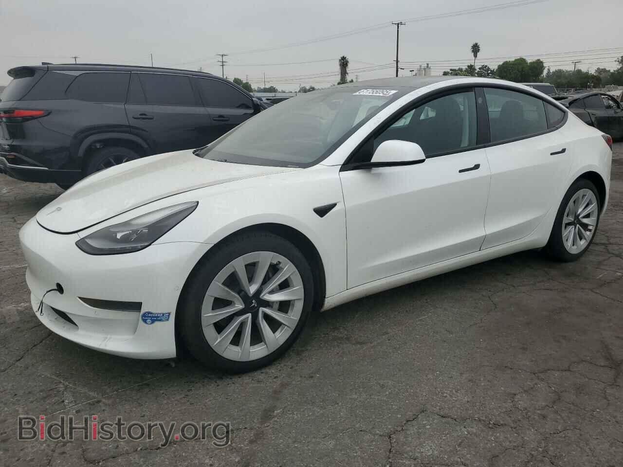 Photo 5YJ3E1EA1MF028709 - TESLA MODEL 3 2021