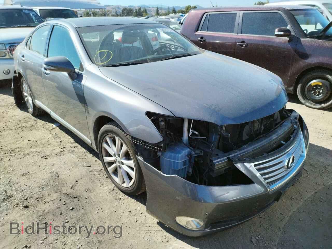 Photo JTHBK1EG8C2489320 - LEXUS ES350 2012