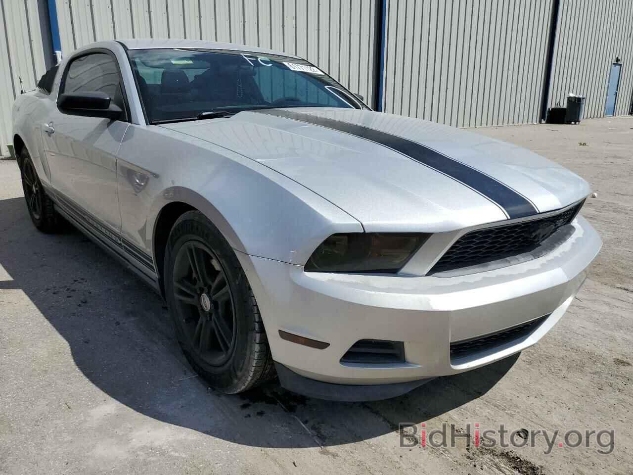 Photo 1ZVBP8AM7C5242616 - FORD MUSTANG 2012