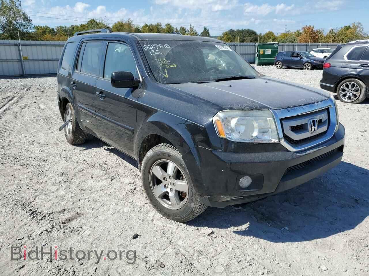Photo 5FNYF4H53BB003519 - HONDA PILOT 2011