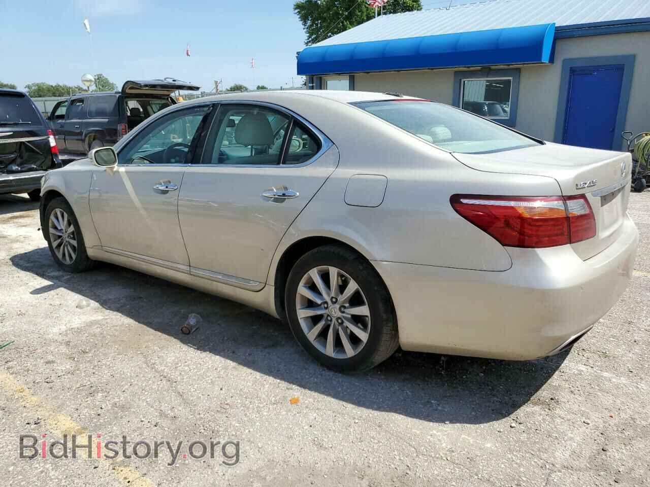 2010 LEXUS LS460 - VIN: JTHCL1EF0A5004673 - Фото 2