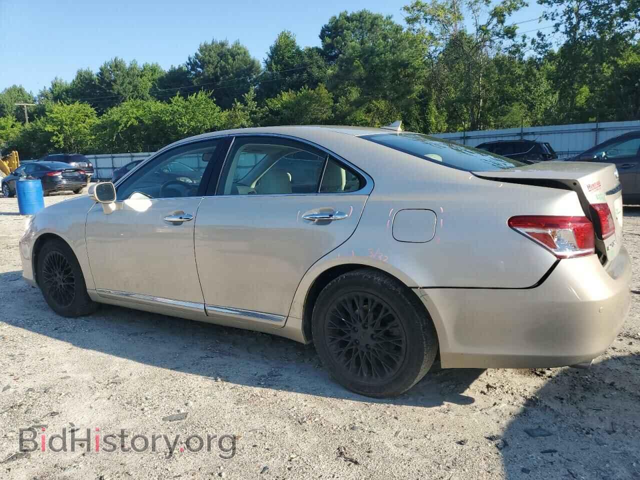 2010 LEXUS ES350 - VIN: JTHBK1EG2A2392756 - Фото 2