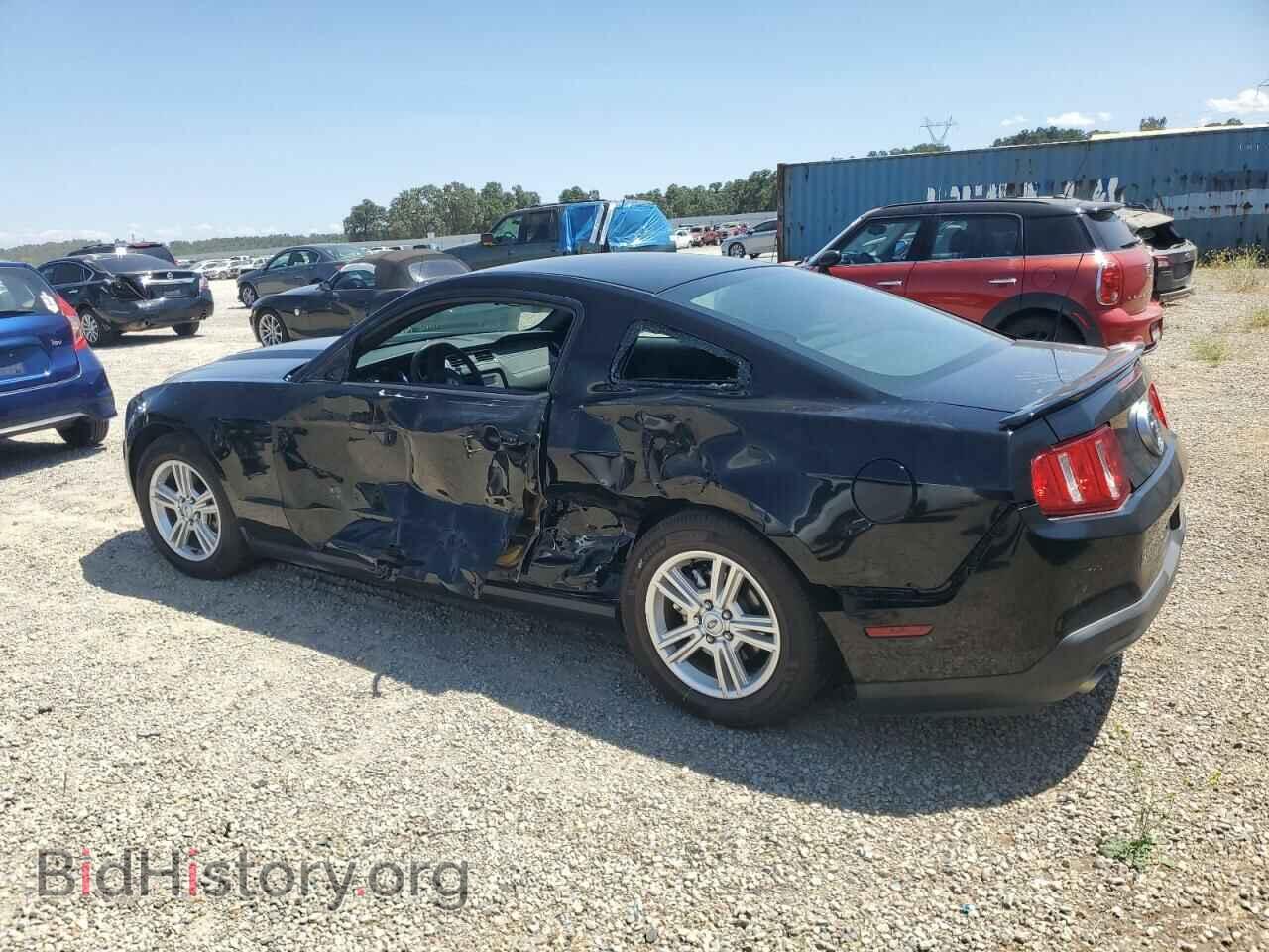 2011 FORD ALL Models - VIN: 1ZVBP8AMXB5132044 - Фото 2