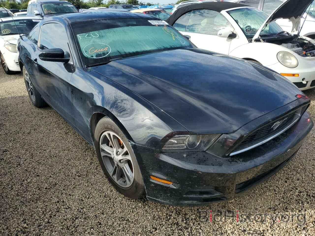 Photo 1ZVBP8AM7D5265833 - FORD MUSTANG 2013