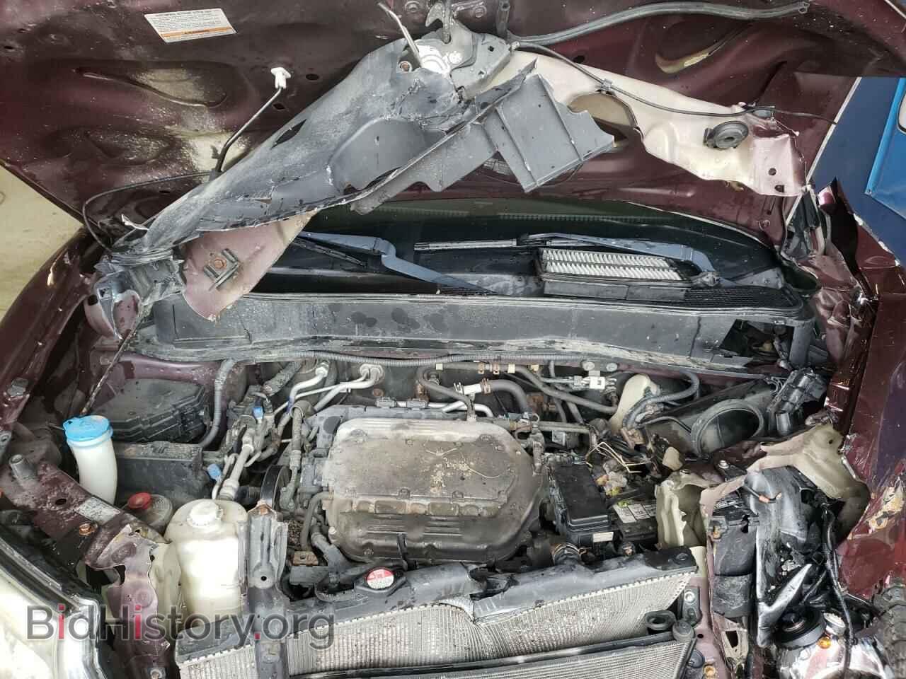 2009 HONDA PILOT - VIN: 5FNYF48999B024453 - Фото 7