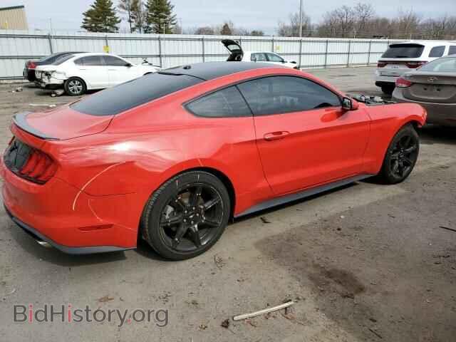 2019 FORD ALL Models - VIN: 1FA6P8TH4K5142031 - Фото 3