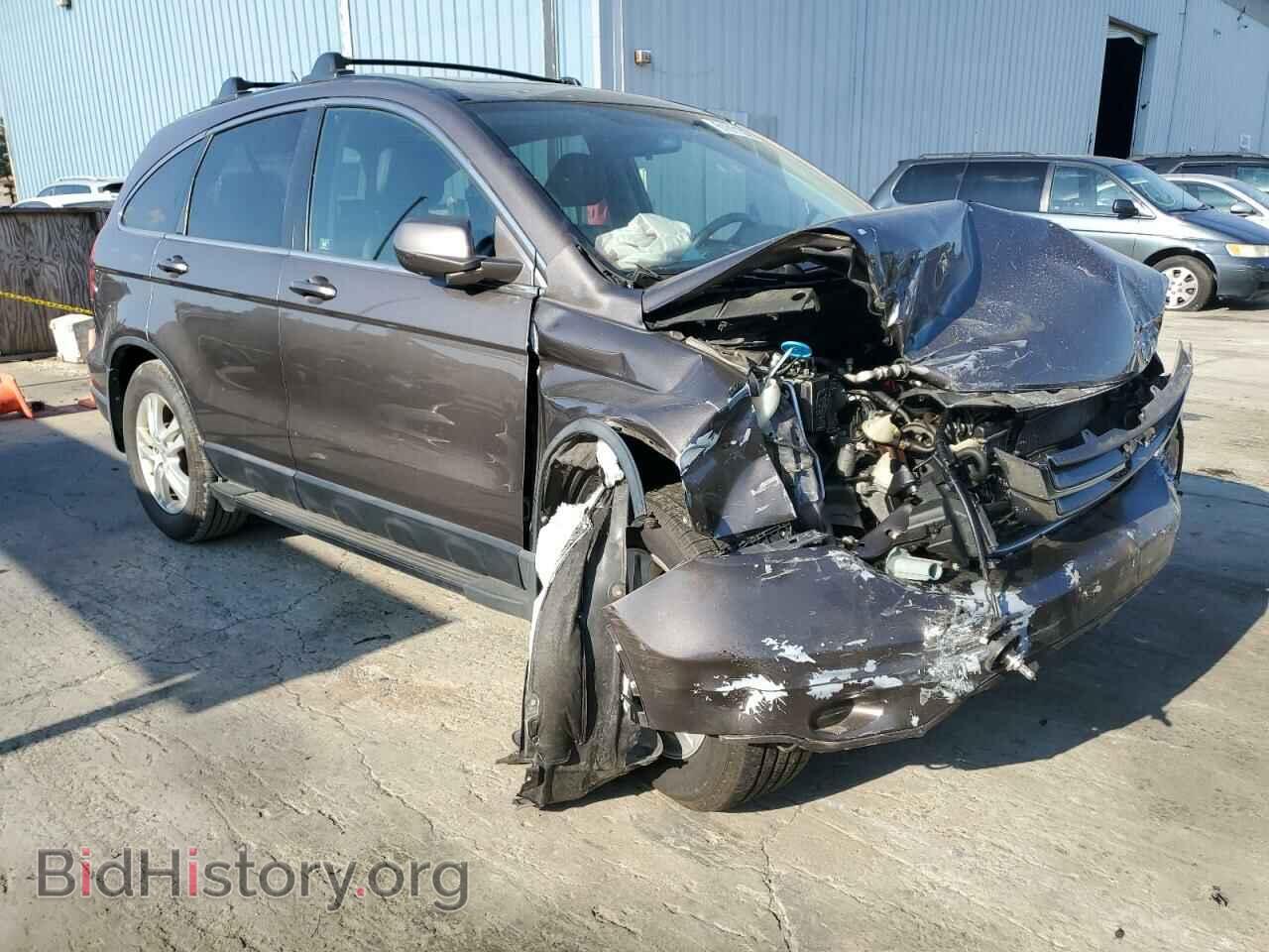 Фотография 5J6RE4H74AL095397 - HONDA CRV 2010
