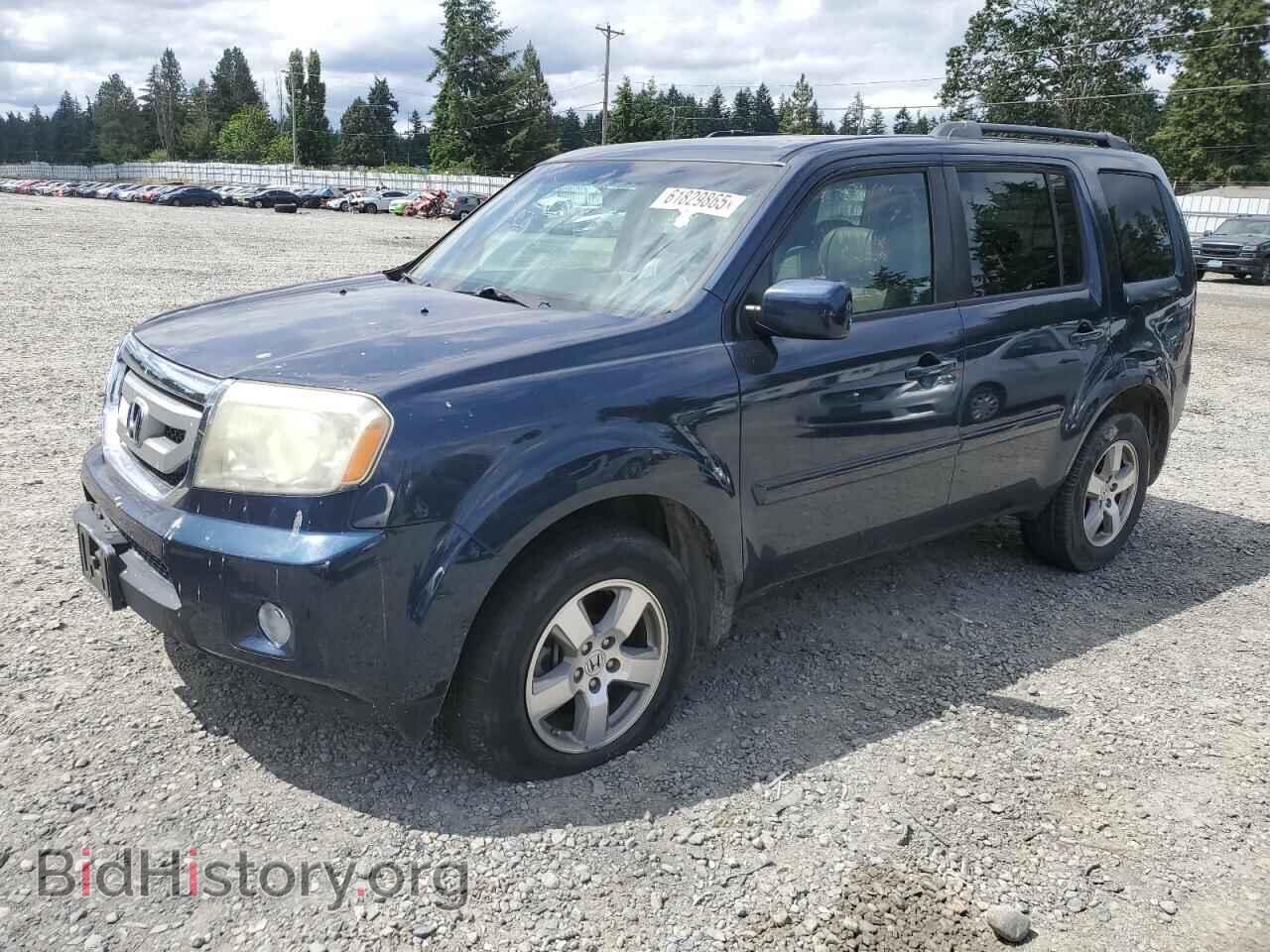 Фотография 5FNYF3H55BB006996 - HONDA PILOT 2011