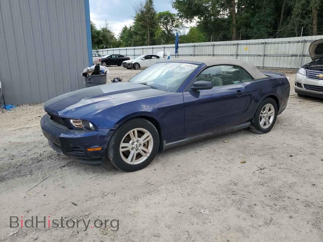 Photo 1ZVBP8EM8B5148530 - FORD ALL Models 2010