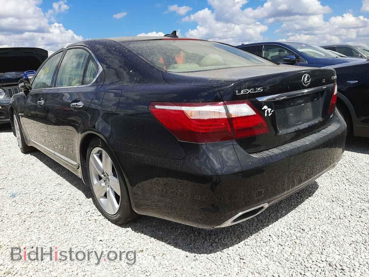 2010 LEXUS LS460 - VIN: JTHCL5EF4A5008748 - Фото 3