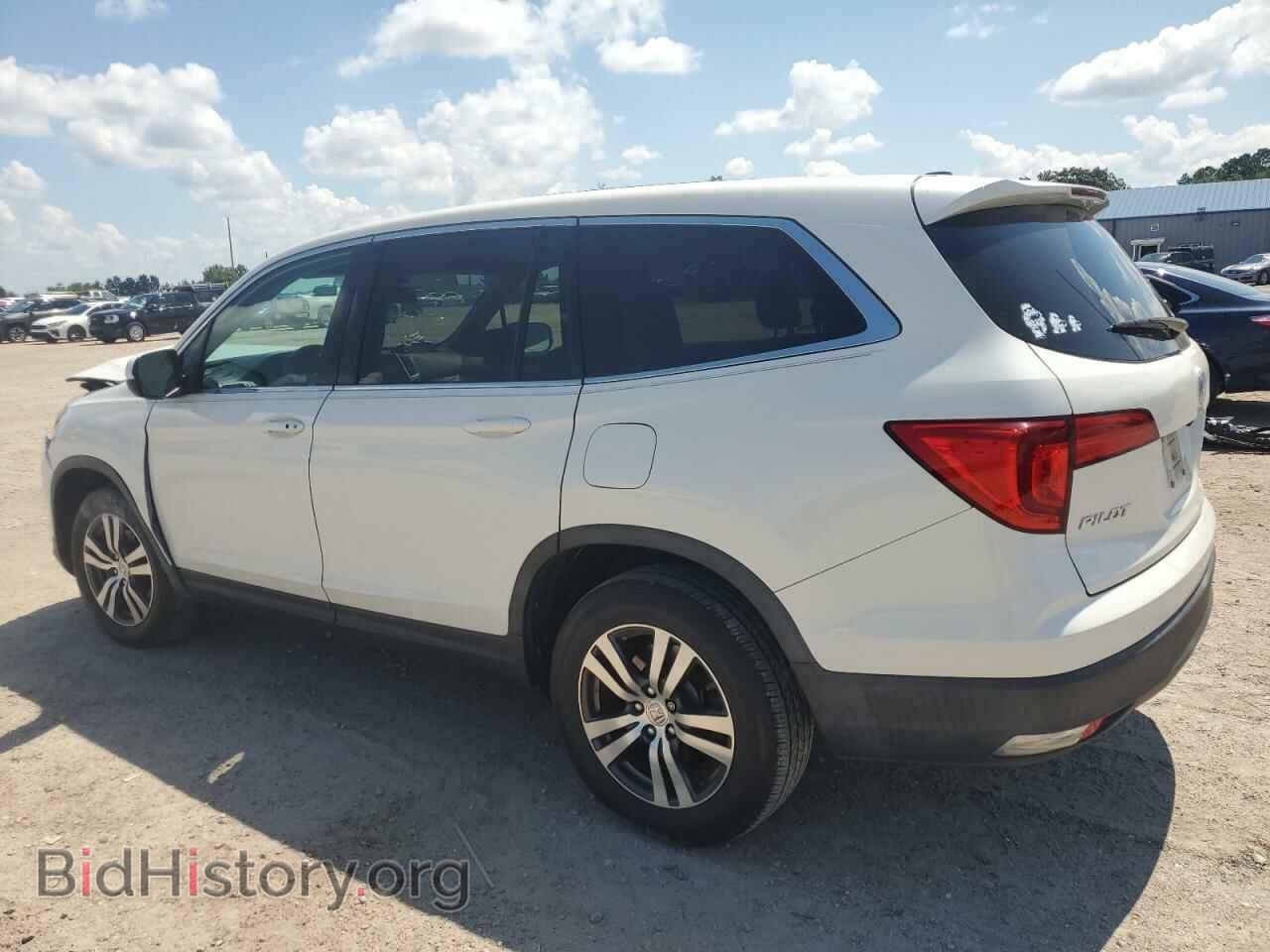 2018 HONDA PILOT - VIN: 5FNYF5H49JB011068 - Фото 2