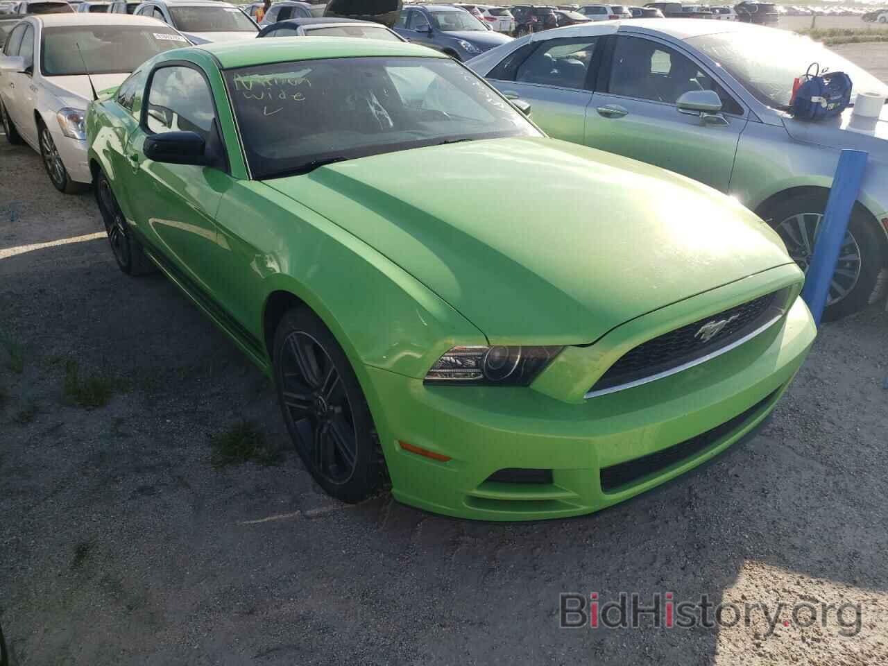 Photo 1ZVBP8AM4D5244325 - FORD MUSTANG 2013