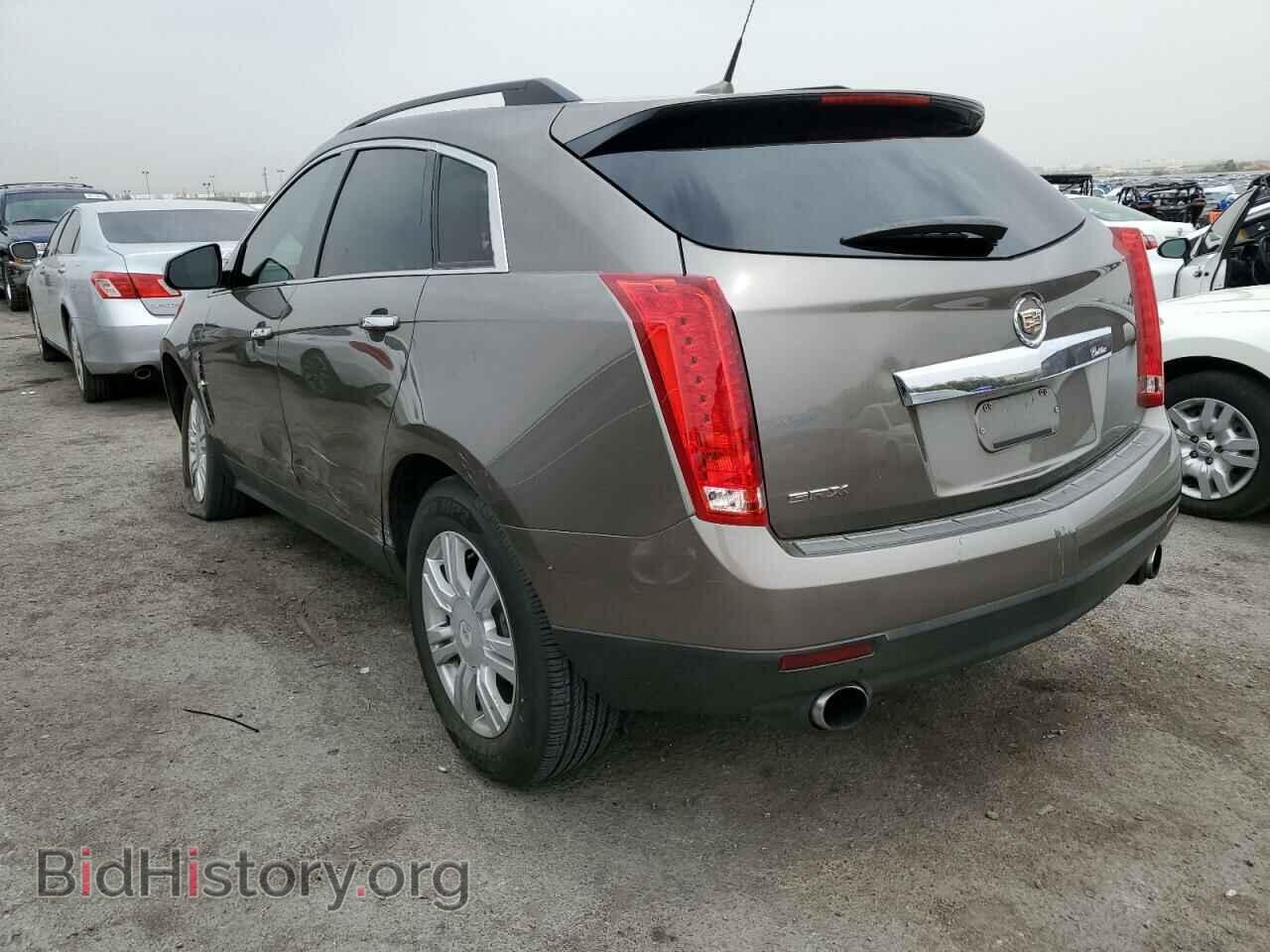 2011 CADILLAC SRX - VIN: 3GYFNGEY2BS573765 - Фото 2