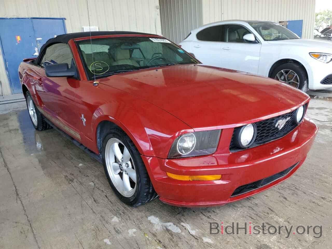 Photo 1ZVHT84N485135122 - FORD MUSTANG 2008