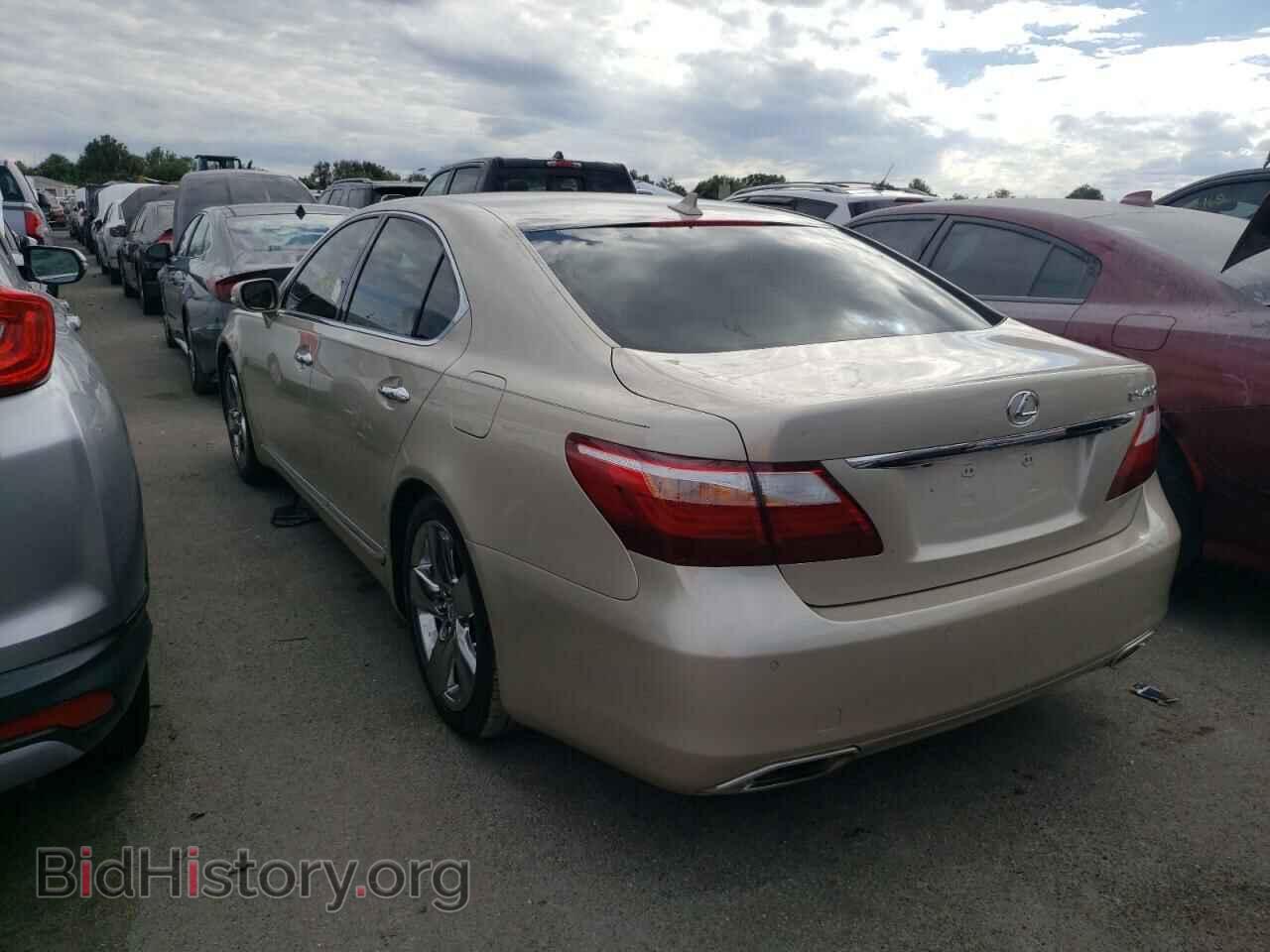 2011 LEXUS LS460 - VIN: JTHBL5EF4B5107339 - Фото 3