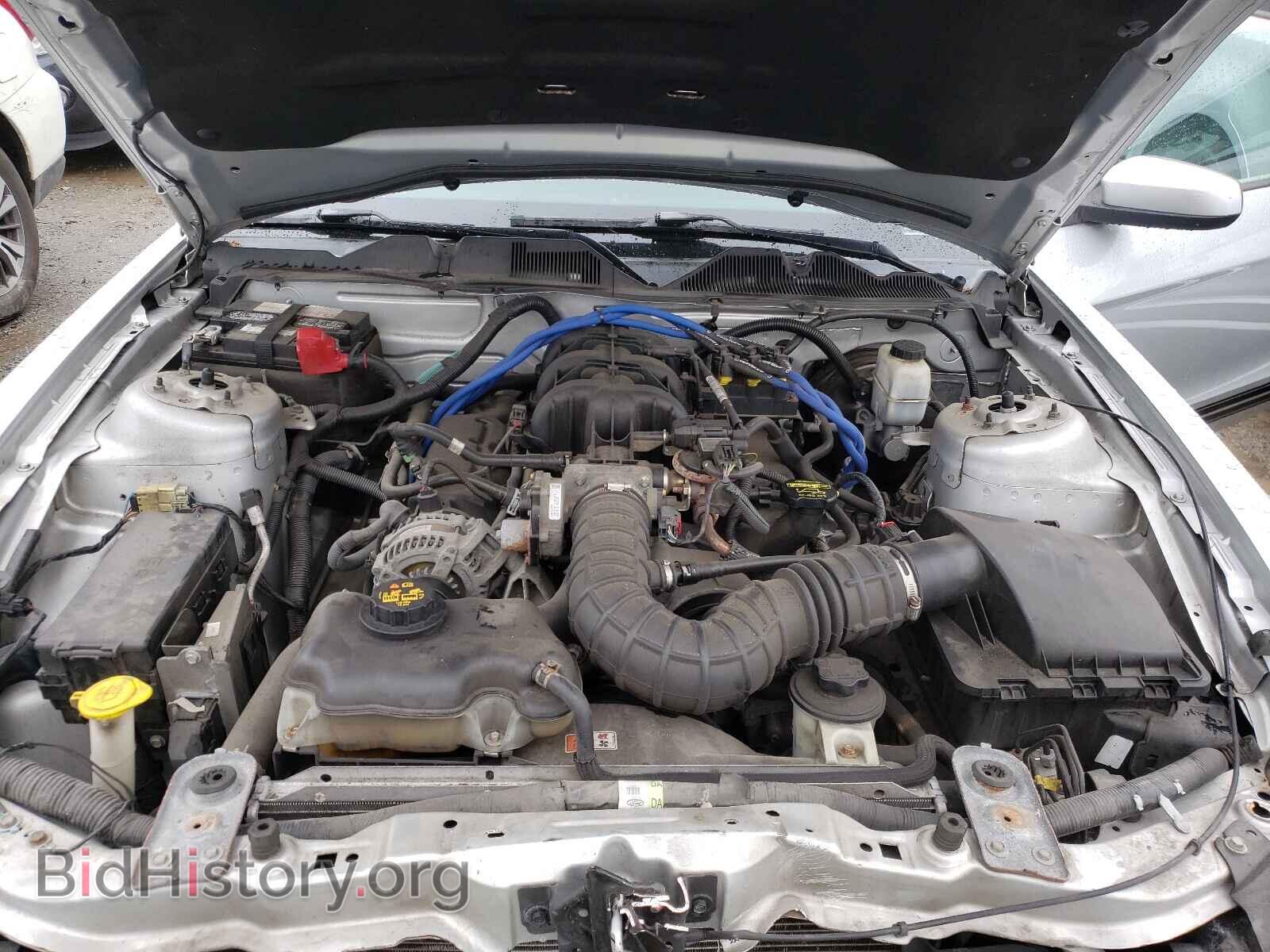 2010 FORD MUSTANG - VIN: 1ZVBP8AN5A5152113 - Фото 7