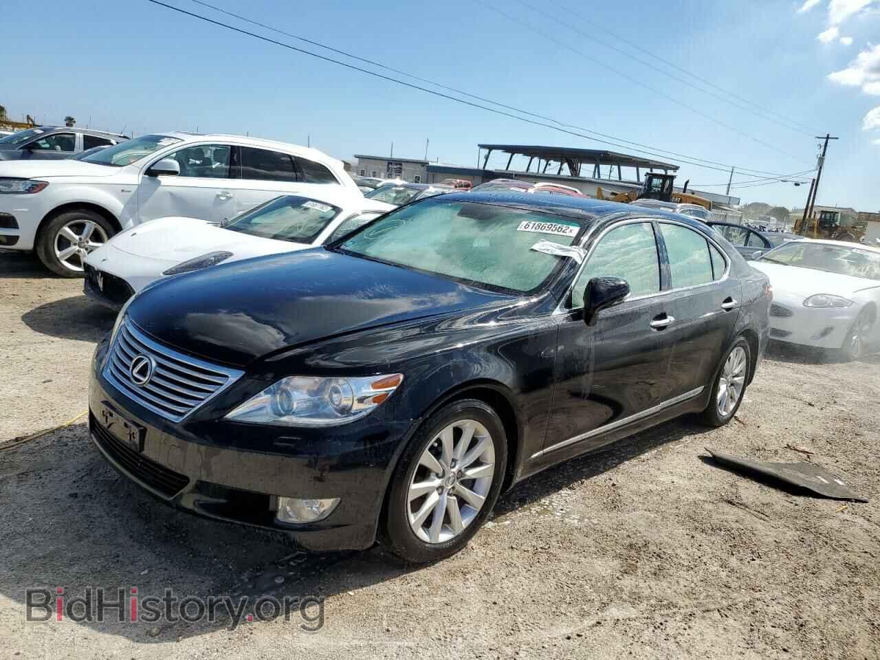2011 LEXUS LS460 - VIN: JTHCL5EF4B5011358 - Фото 2