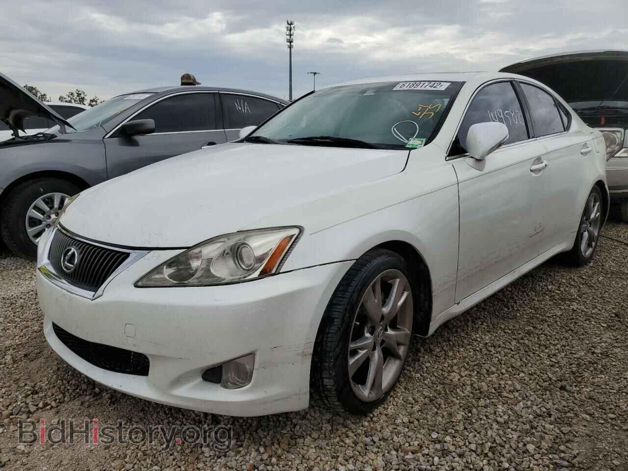 2009 LEXUS IS - VIN: JTHBK262995094871 - Фото 2