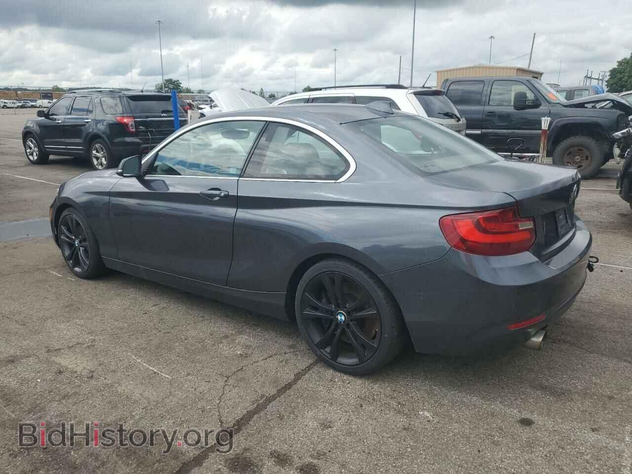 2015 BMW 2 SERIES - VIN: WBA1G9C51FVX96424 - Фото 2