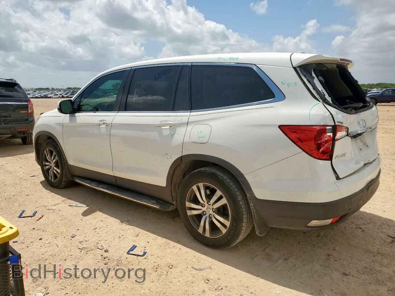 2017 HONDA PILOT - VIN: 5FNYF5H88HB025699 - Фото 2