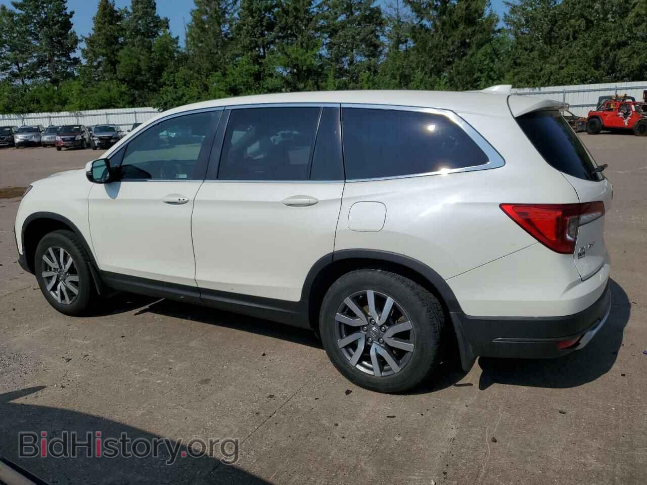 2019 HONDA PILOT - VIN: 5FNYF6H56KB065993 - Фото 2
