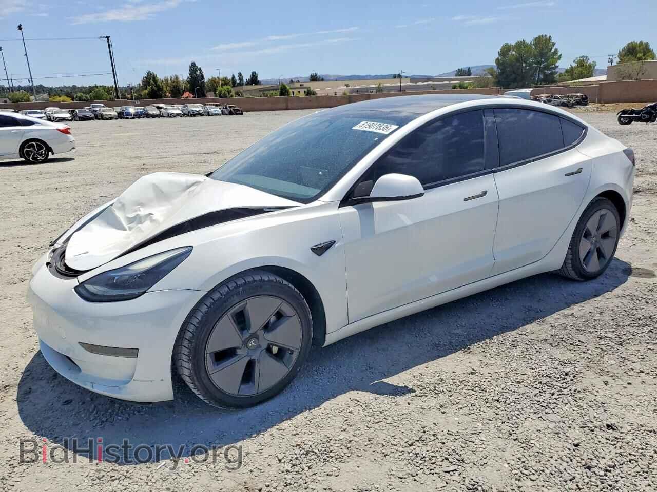 Photo 5YJ3E1EA9PF404920 - TESLA MODEL 3 2023
